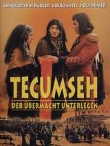 Превью постера #175115 к фильму "Текумзе"  (1972)