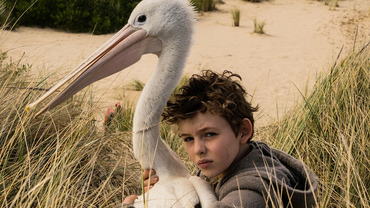 Фильм Мой друг мистер Персиваль (2019). Кадр N168838