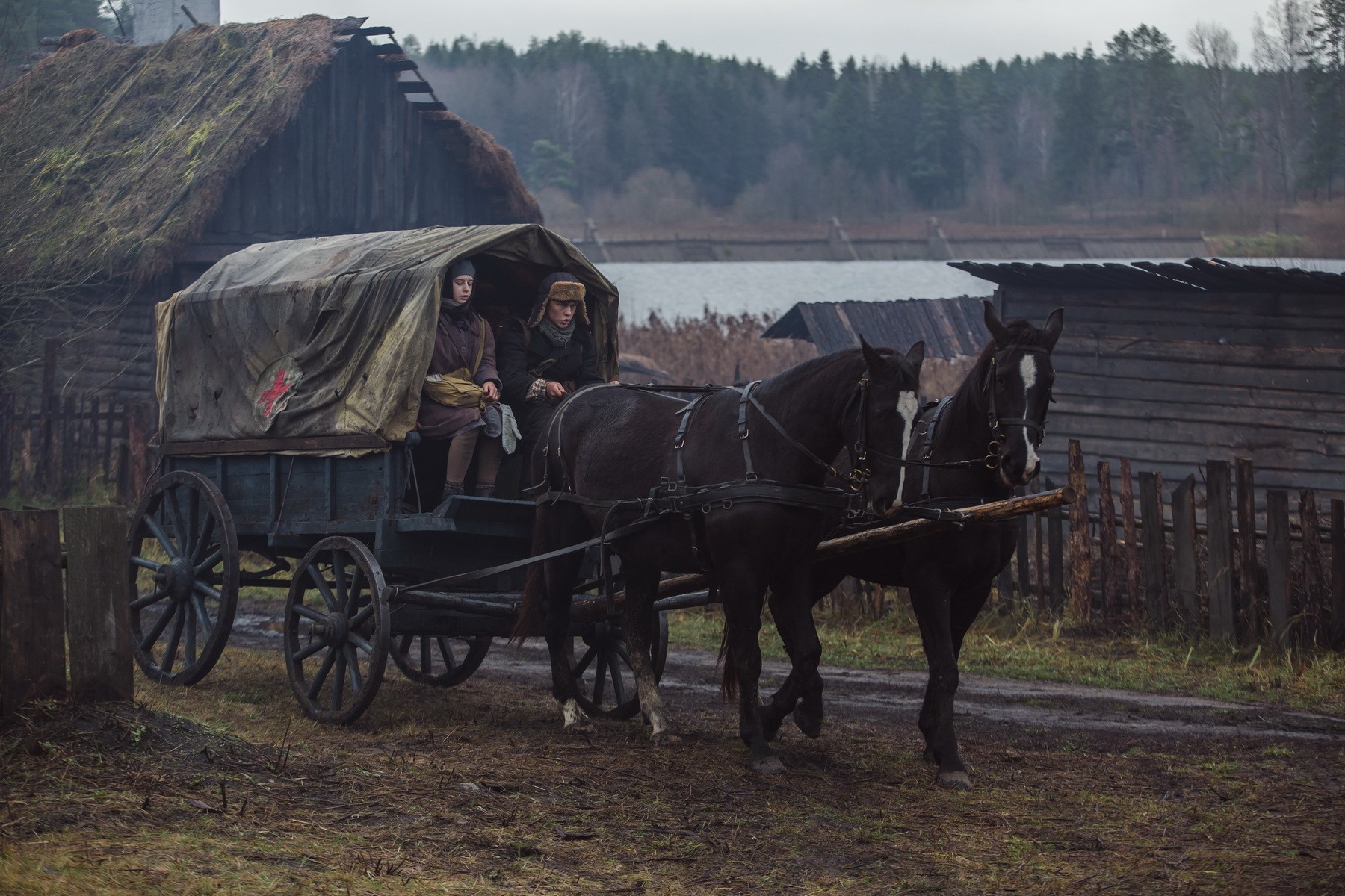 Сериал Алеша (2020). Кадр N170816