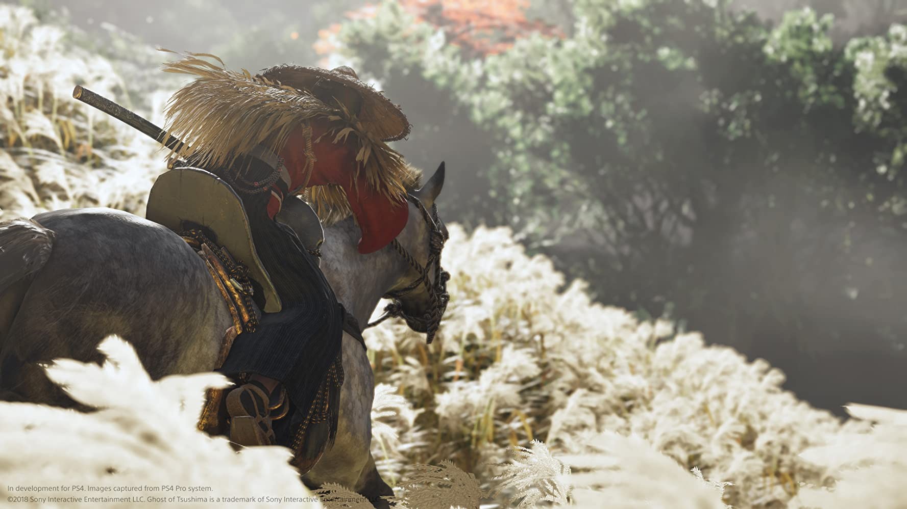 Игра Ghost of Tsushima (2020). Скриншот N173421
