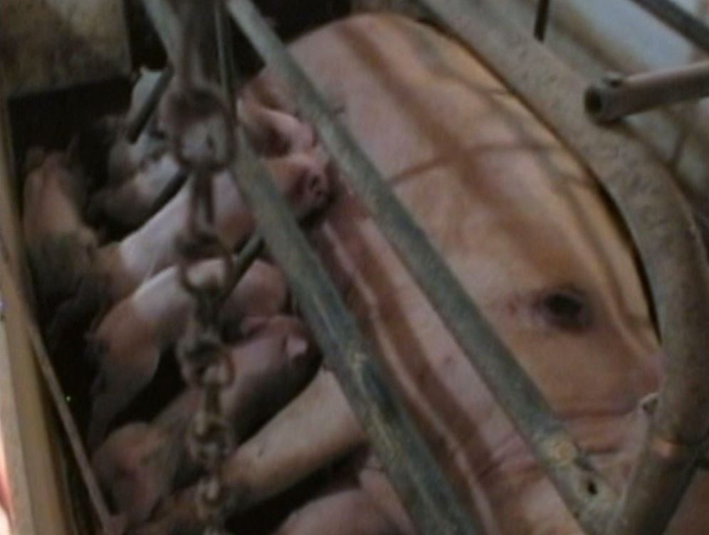Фильм Земляне (2005). Кадр N174213