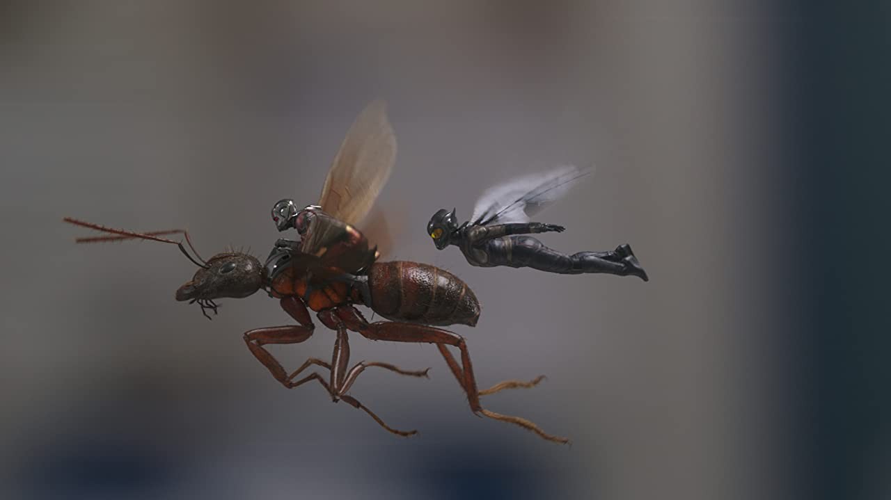 Человек-муравей и Оса: кадр N177525