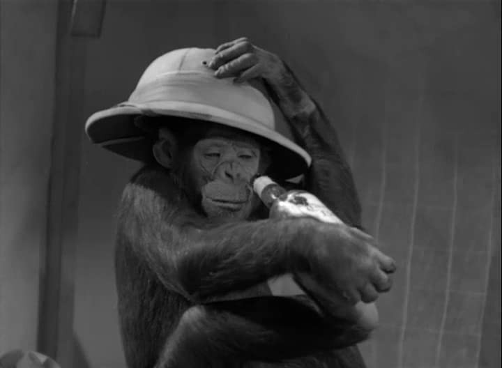 Фильм Тайное сокровище Тарзана (1941). Кадр N178448