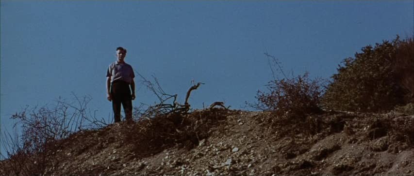 Фильм Мессия зла (1973). Кадр N179400