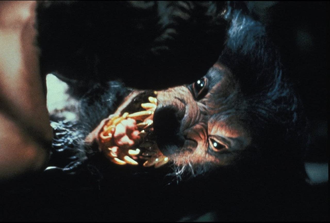 Фильм Вой 5: Возрождение (1989). Кадр N179587