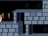 Превью скриншота #176788 к игре "Prince of Persia" (1989)