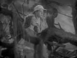 Превью кадра #178299 из фильма "Спасение Тарзана"  (1936)