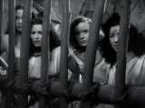 Превью кадра #178978 из фильма "Тарзан и женщина-леопард"  (1946)