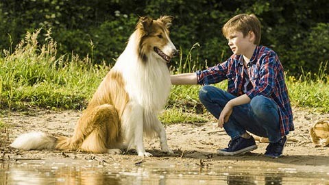 Кадр к фильму Лесси. Возвращение домой / Lassie Come Home