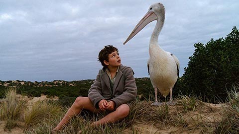 Кадр к фильму Мой друг мистер Персиваль / Storm Boy