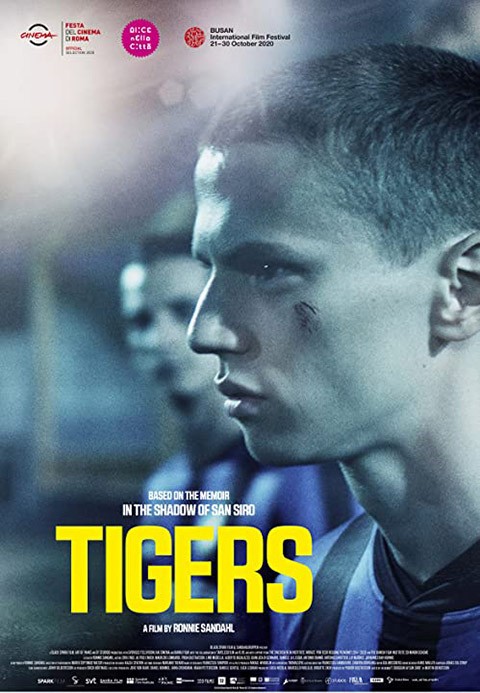 Тигры: постер N191289