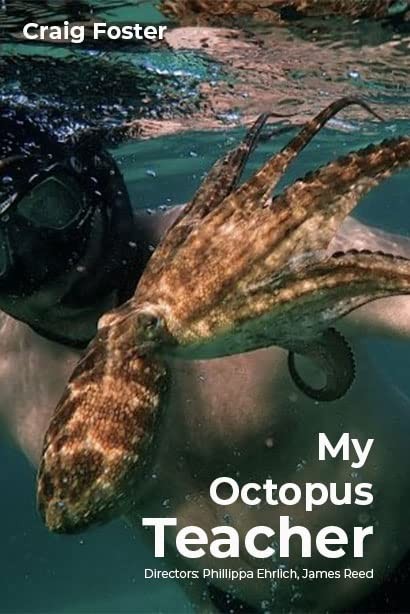 Мой учитель-осьминог / My Octopus Teacher (2020) отзывы. Рецензии. Новости кино. Актеры фильма Мой учитель-осьминог. Отзывы о фильме Мой учитель-осьминог