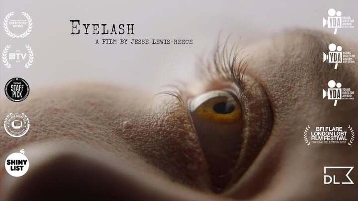 Ресницы / Eyelash (2020) отзывы. Рецензии. Новости кино. Актеры фильма Ресницы. Отзывы о фильме Ресницы