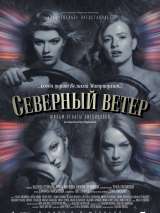 Превью постера #180760 к фильму "Северный ветер" (2021)