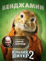 Превью постера #184788 к мультфильму "Кролик Питер 2"  (2021)