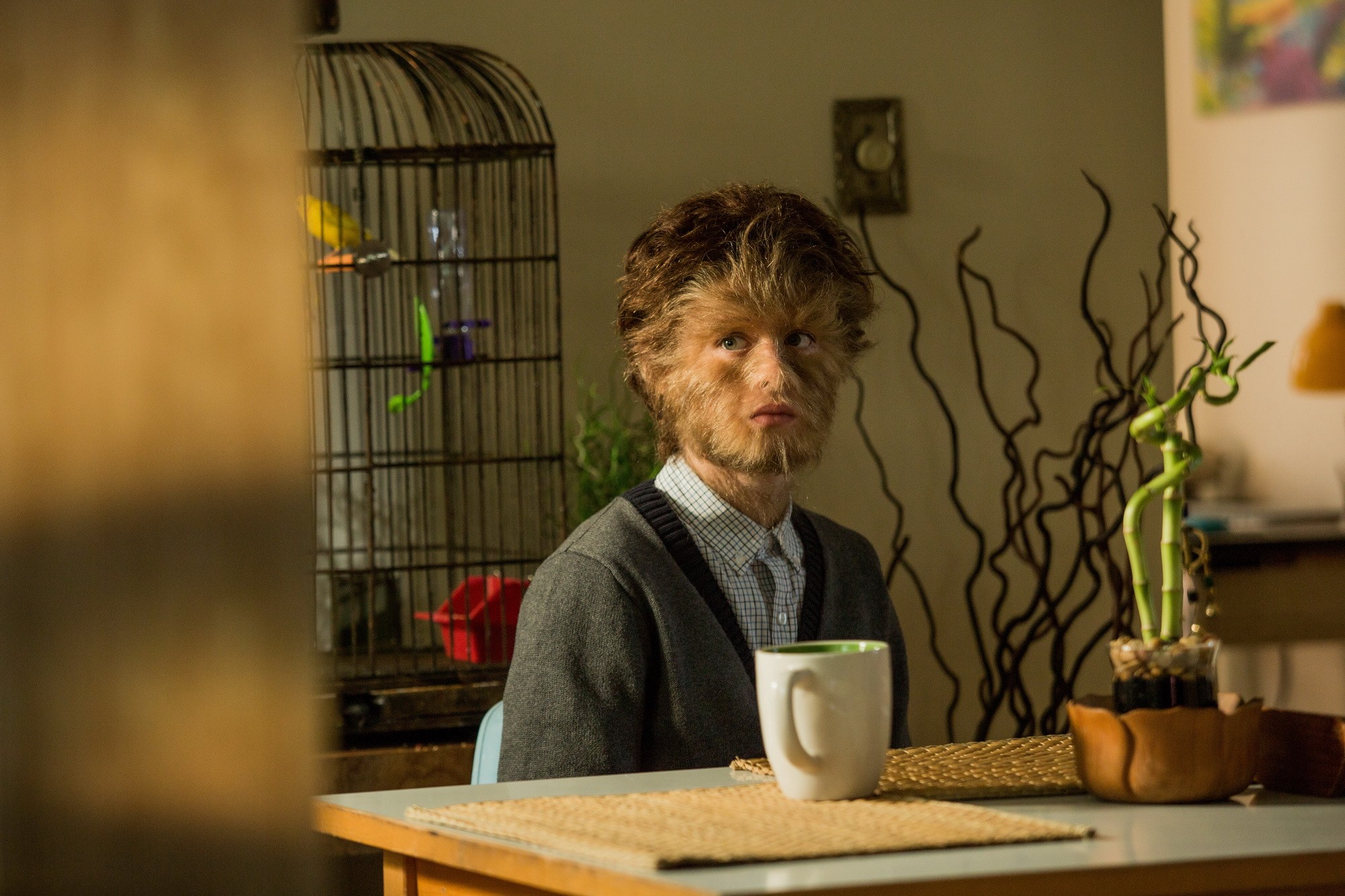Фильм Реальная история мальчика-волчонка (2019). Кадр N186137