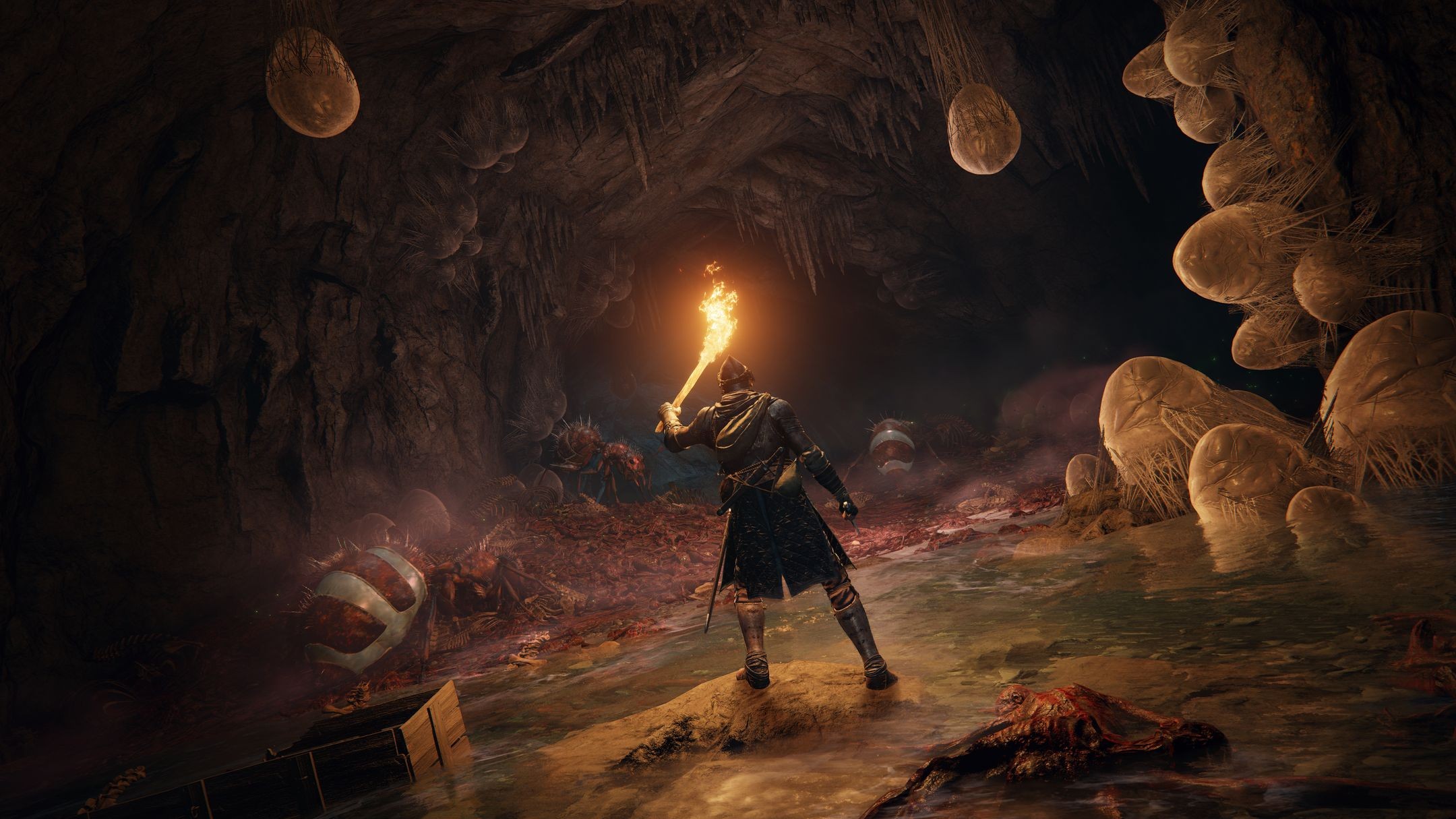 Игра Elden Ring (2022). Скриншот N186657