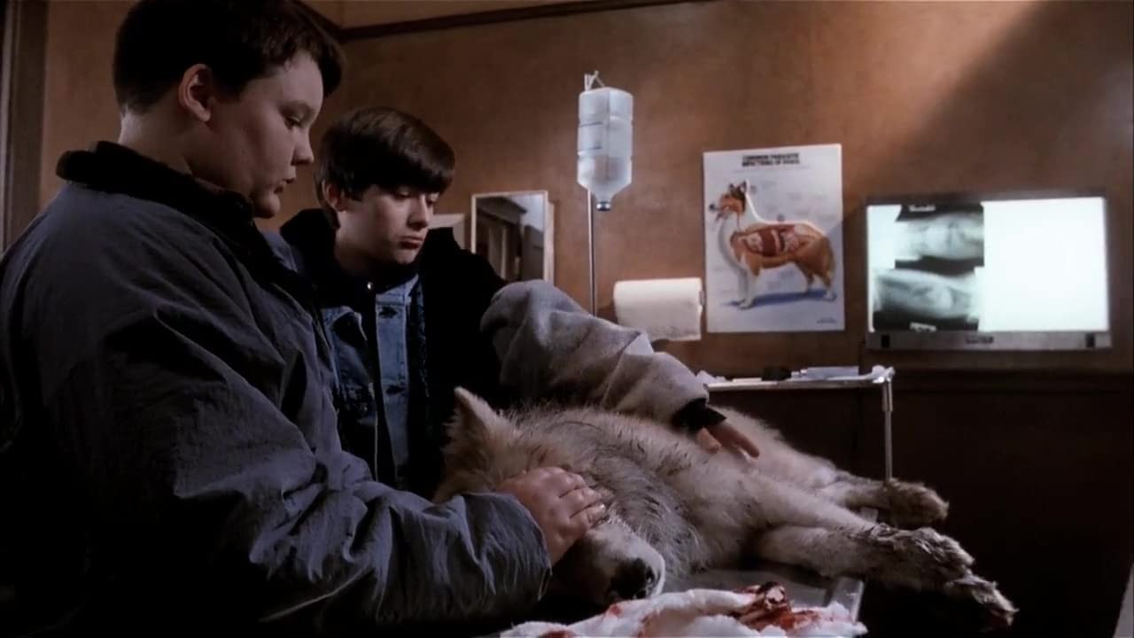 Фильм Кладбище домашних животных 2 (1992). Кадр N186966