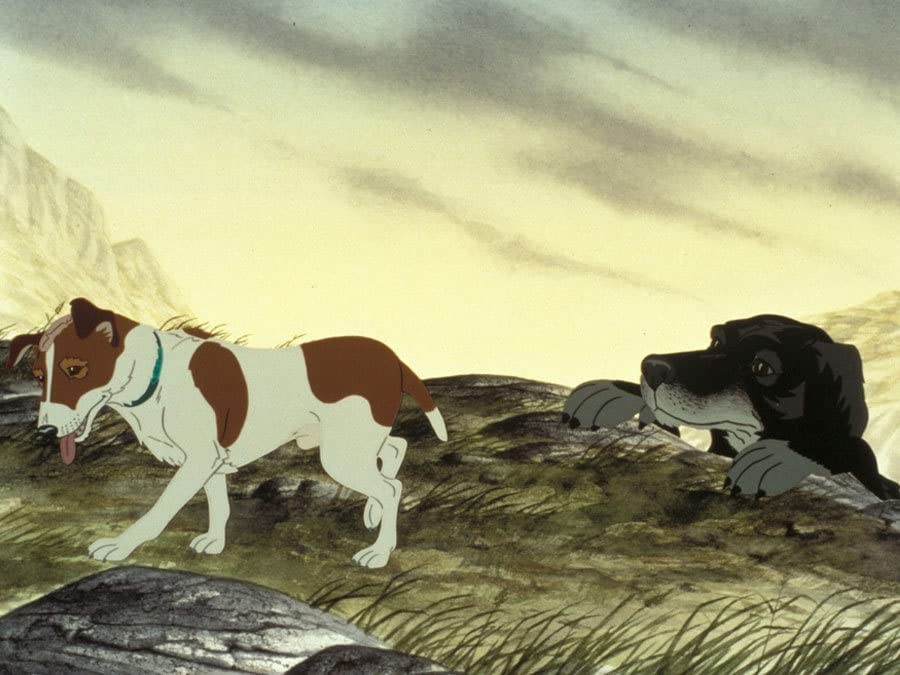 Фильм Отчаянные псы (1982). Кадр N189734
