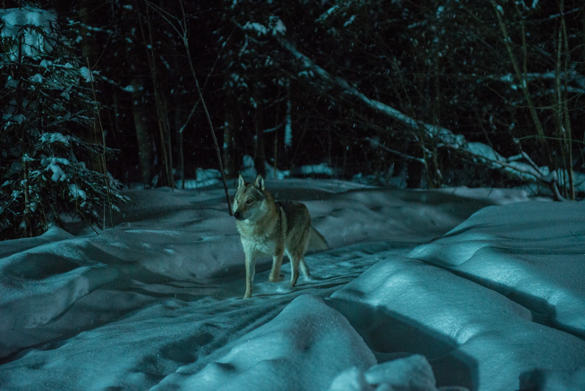 Сериал Горячая точка (2019-2024). Кадр N193916