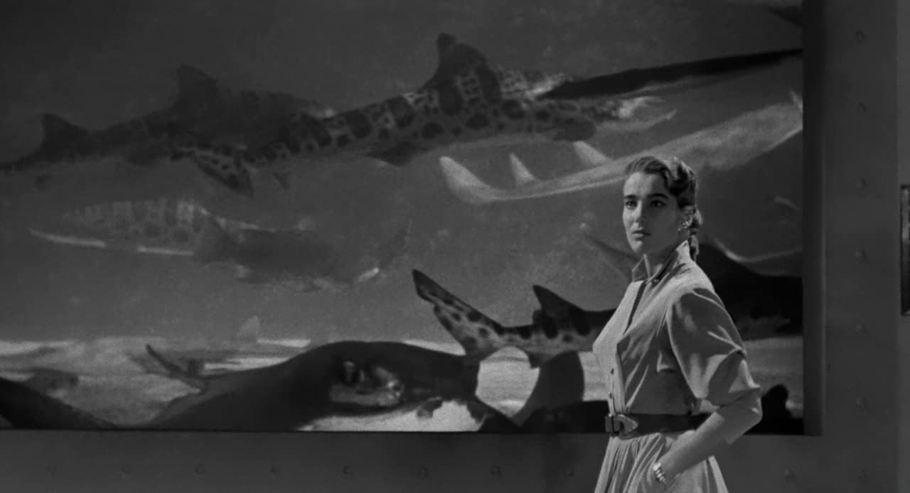 Фильм Тварь из Черной Лагуны (1954). Кадр N195361