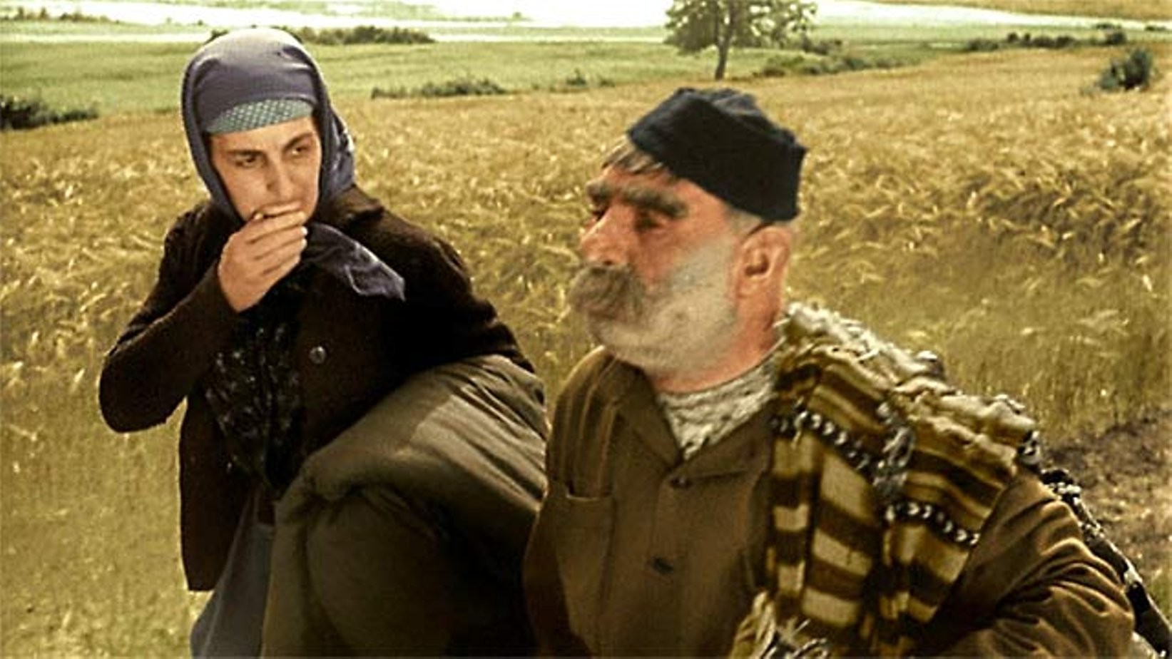 Фильм Отец солдата (1964). Кадр N181848