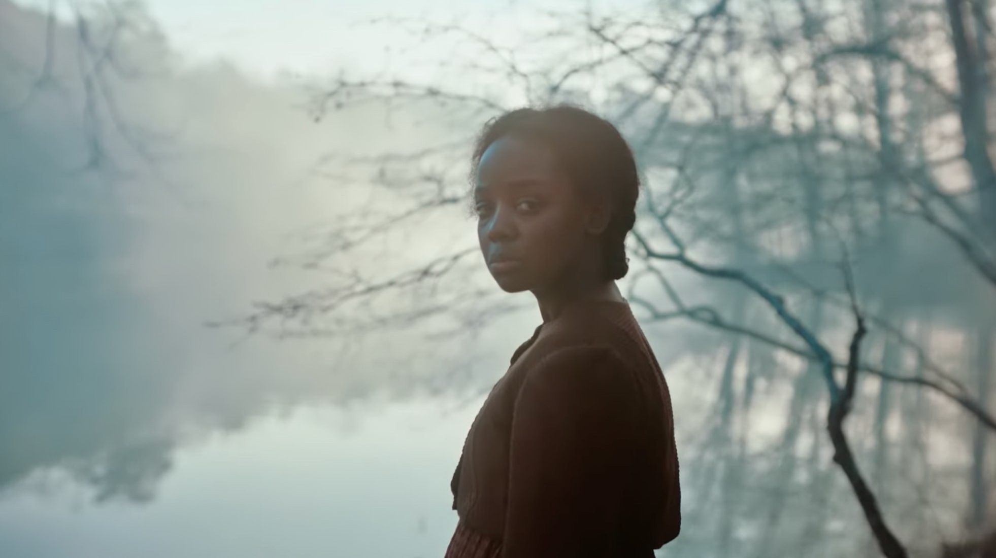 Сериал Подземная железная дорога (2021). Кадр N185057