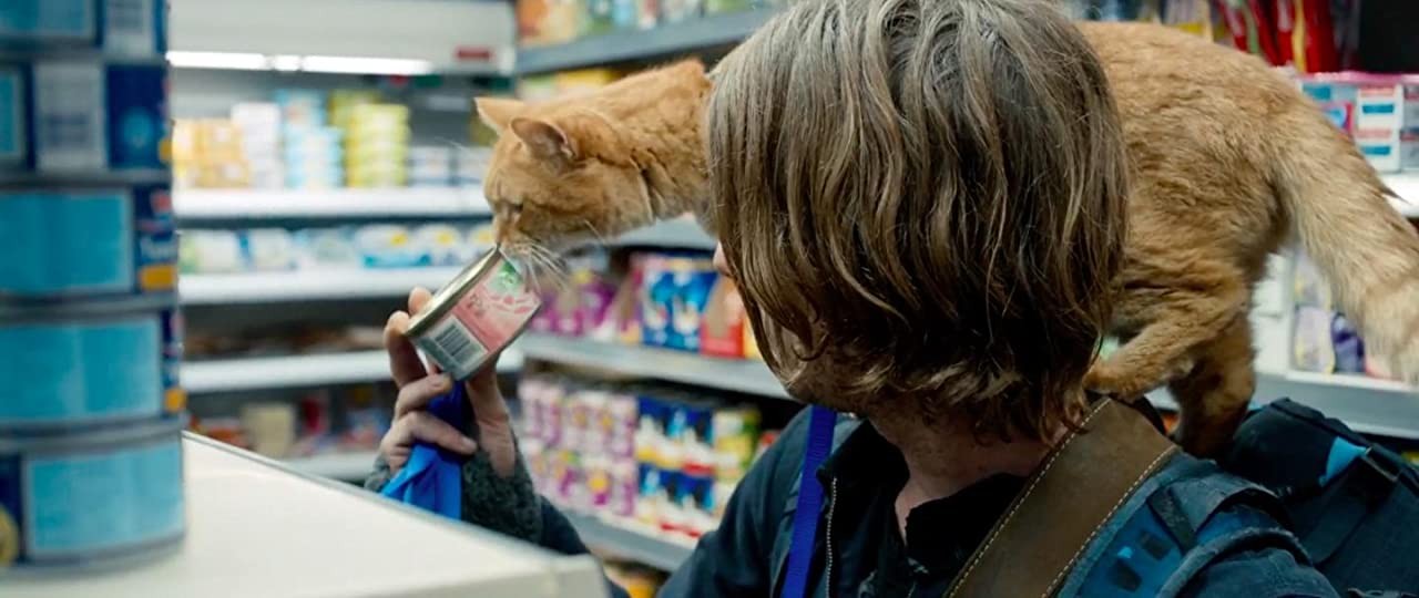 Кадр N185400 из фильма Уличный кот по кличке Боб / A Street Cat Named Bob (2016)