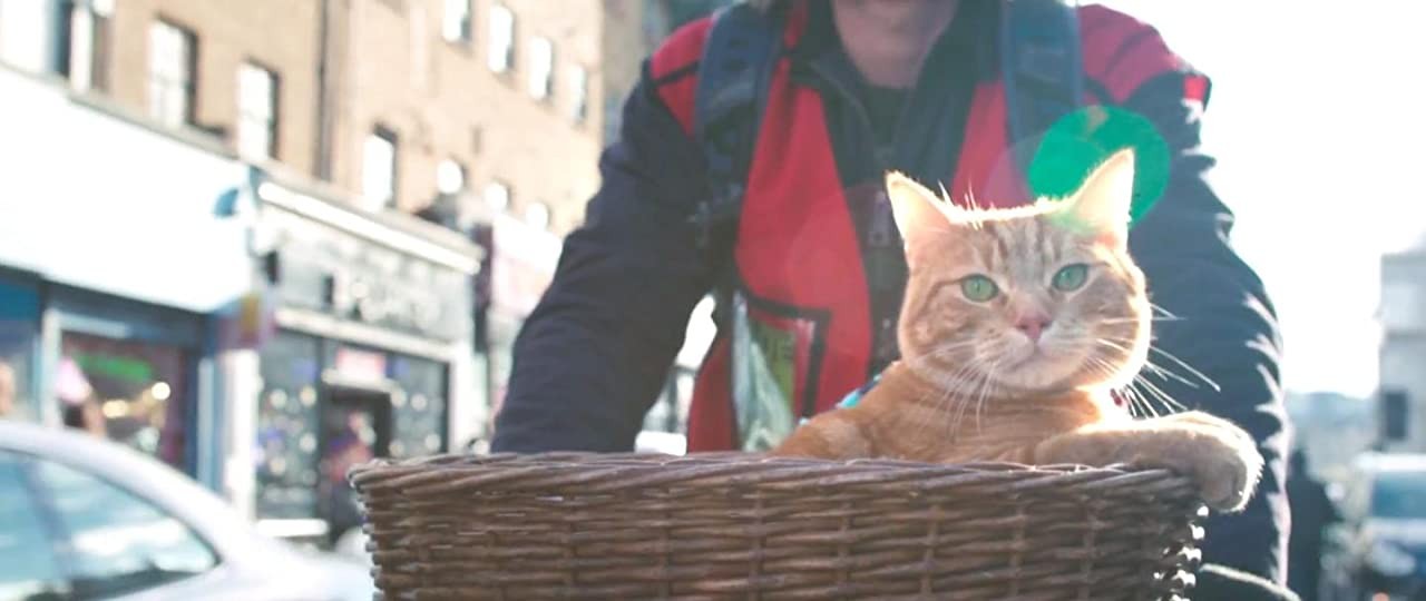Кадр N185403 из фильма Уличный кот по кличке Боб / A Street Cat Named Bob (2016)