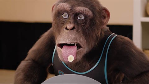 Трейлер фильма "Шимпанзе под прикрытием"