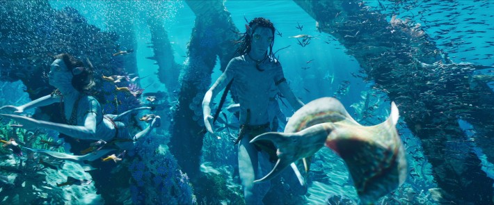 Премьеру фильма Аватар 2: Путь воды раскритиковали из-за трюков с дельфинами
