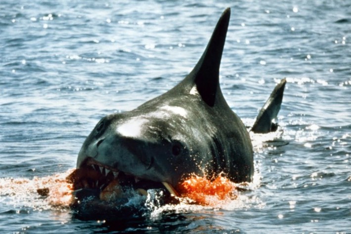 Стивен Спилберг покаялся перед акулами за Челюсти