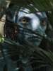 Мировые премьерные сборы фильма "Аватар 2: Путь воды" превысят 500 миллионов