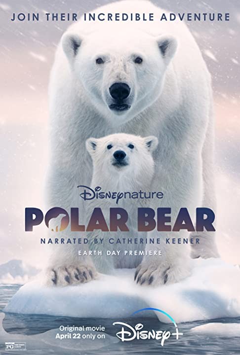 Полярный медведь / Polar Bear (2022) отзывы. Рецензии. Новости кино. Актеры фильма Полярный медведь. Отзывы о фильме Полярный медведь