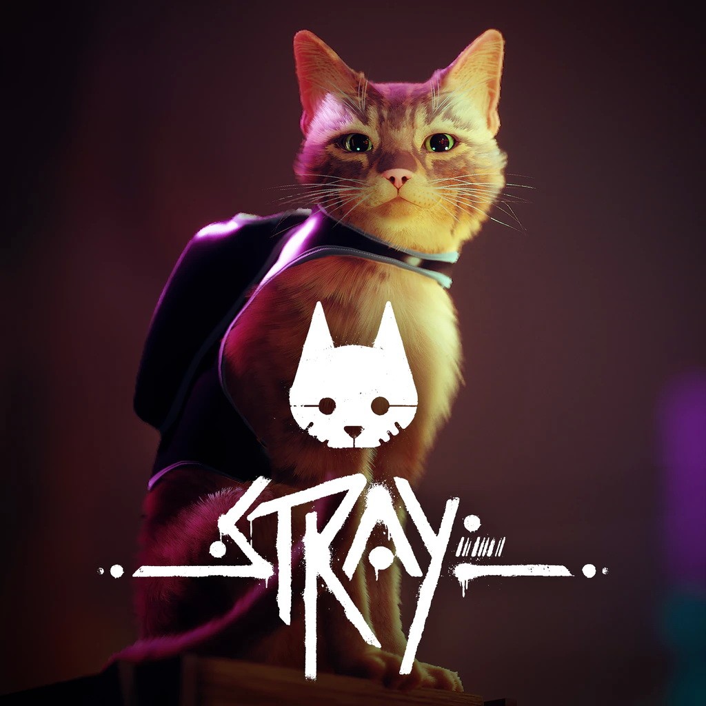 Stray: постер N201503