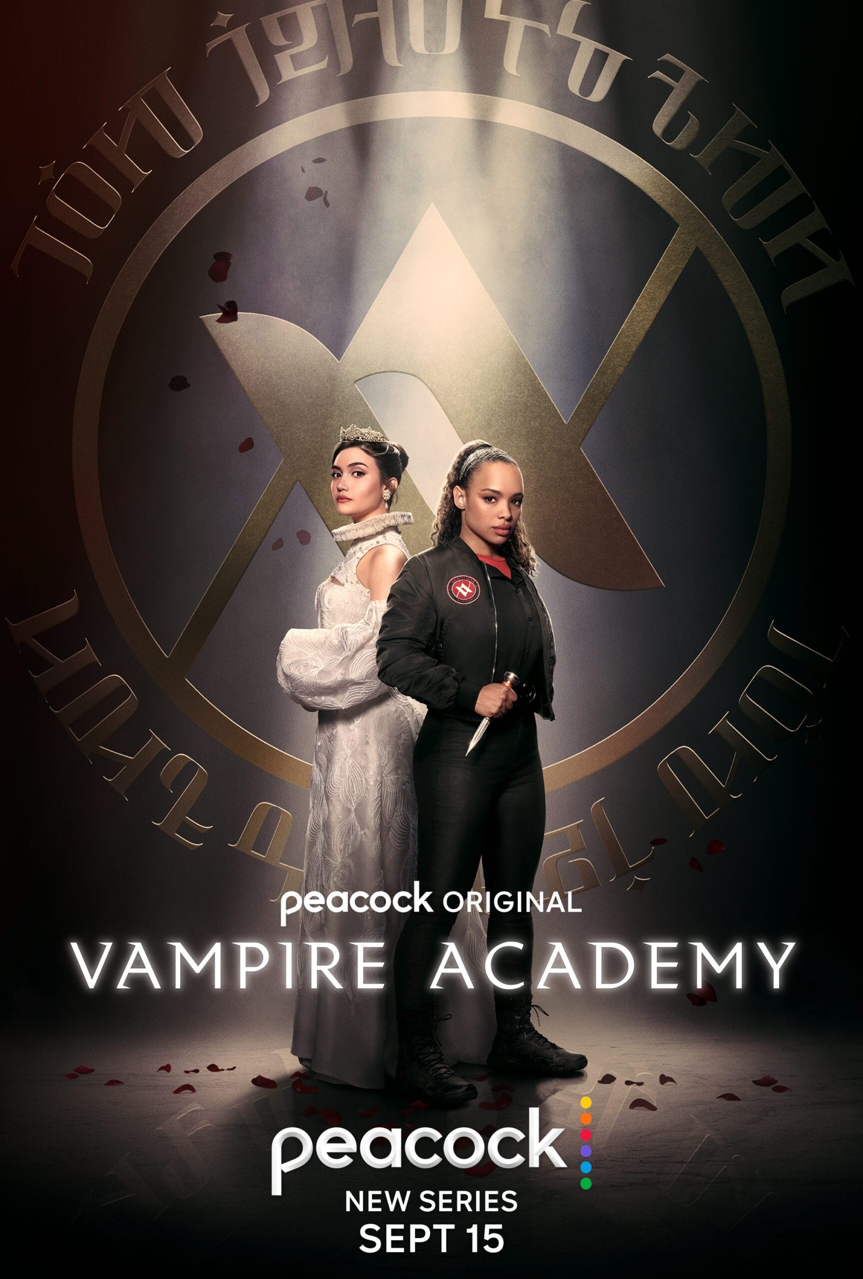 Академия вампиров: постер N204089