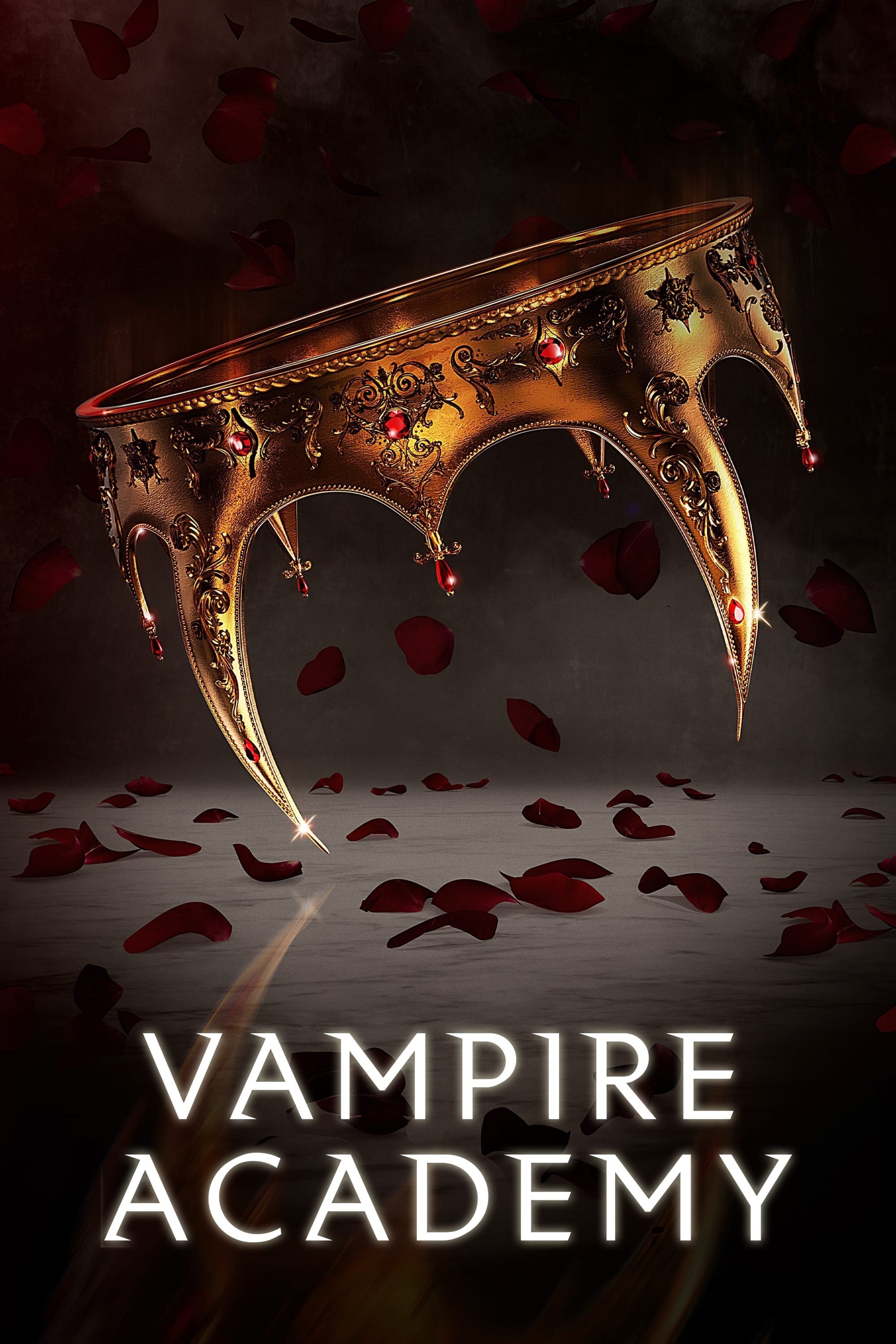 Академия вампиров: постер N204090