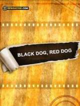 Черный пес, рыжий пес