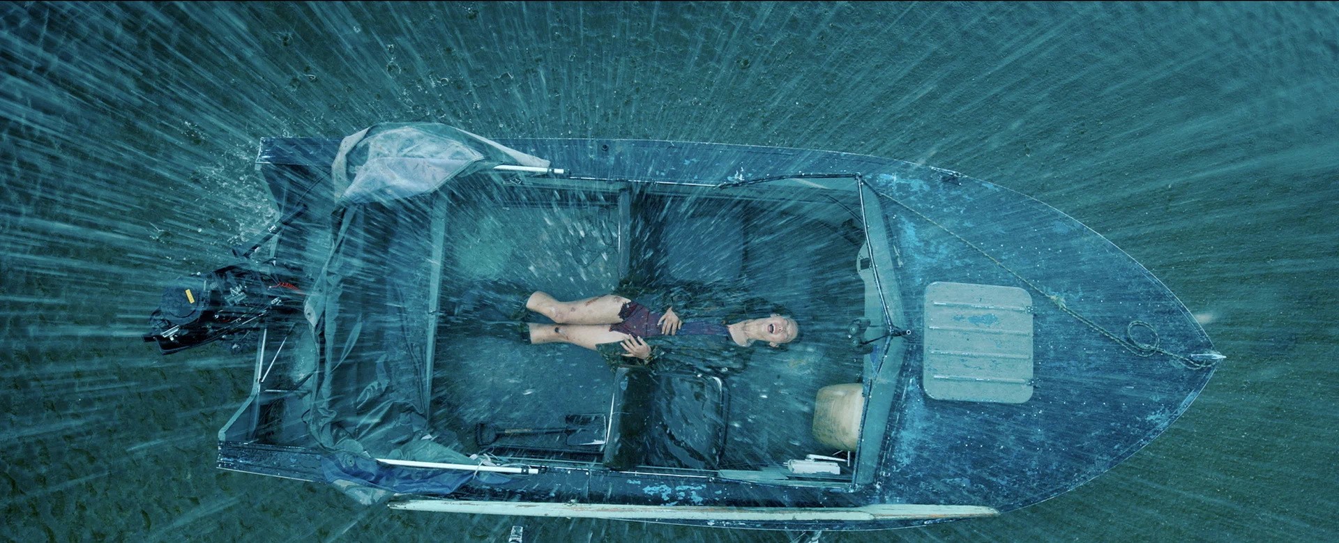 Фильм Дикая (2022). Кадр N201801