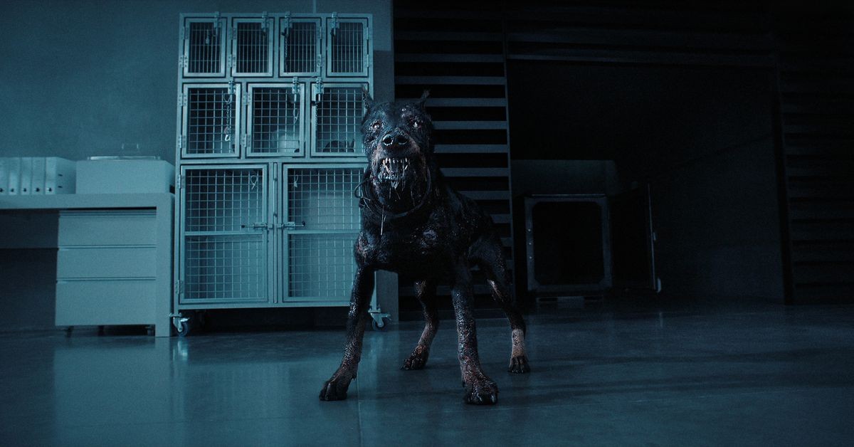 Сериал Обитель зла (2022). Кадр N202085