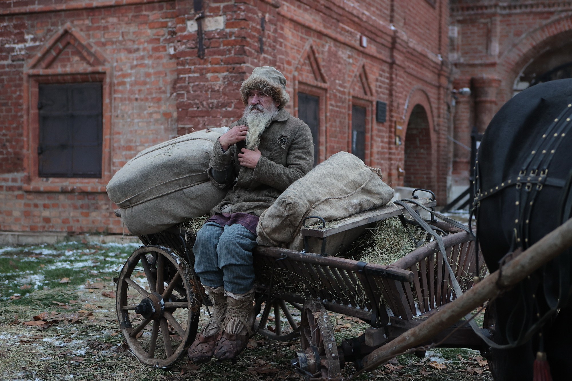 Сериал Плевако (2024). Кадр N208959