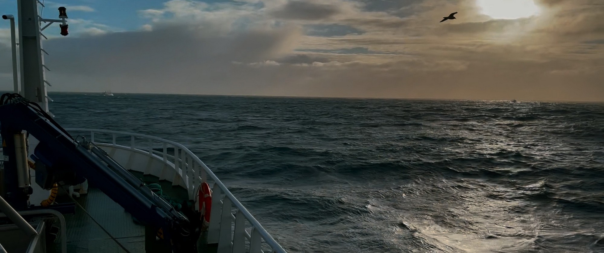 Фильм Лили и море (2022). Кадр N210310