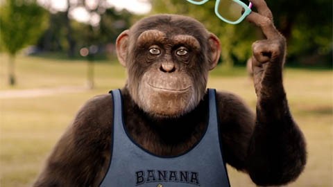 Дублированный трейлер фильма "Шимпанзе под прикрытием"