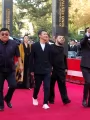 Фотогалерея "Церемония открытия XV Ташкентского международного кинофестиваля". Превью фото #225770