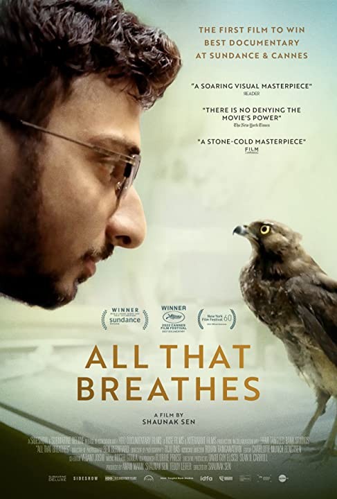 Все, что дышит / All That Breathes (2022) отзывы. Рецензии. Новости кино. Актеры фильма Все, что дышит. Отзывы о фильме Все, что дышит