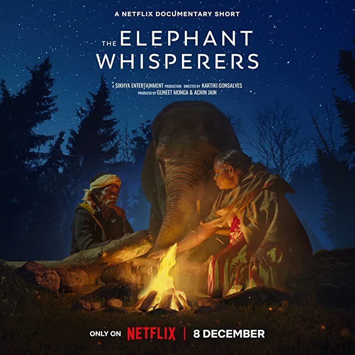 Заклинатели слонов / The Elephant Whisperers (2022) отзывы. Рецензии. Новости кино. Актеры фильма Заклинатели слонов. Отзывы о фильме Заклинатели слонов