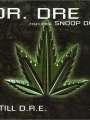 Dr. Dre feat. Snoop Dogg: Still D.R.E.