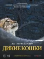 Дикие кошки