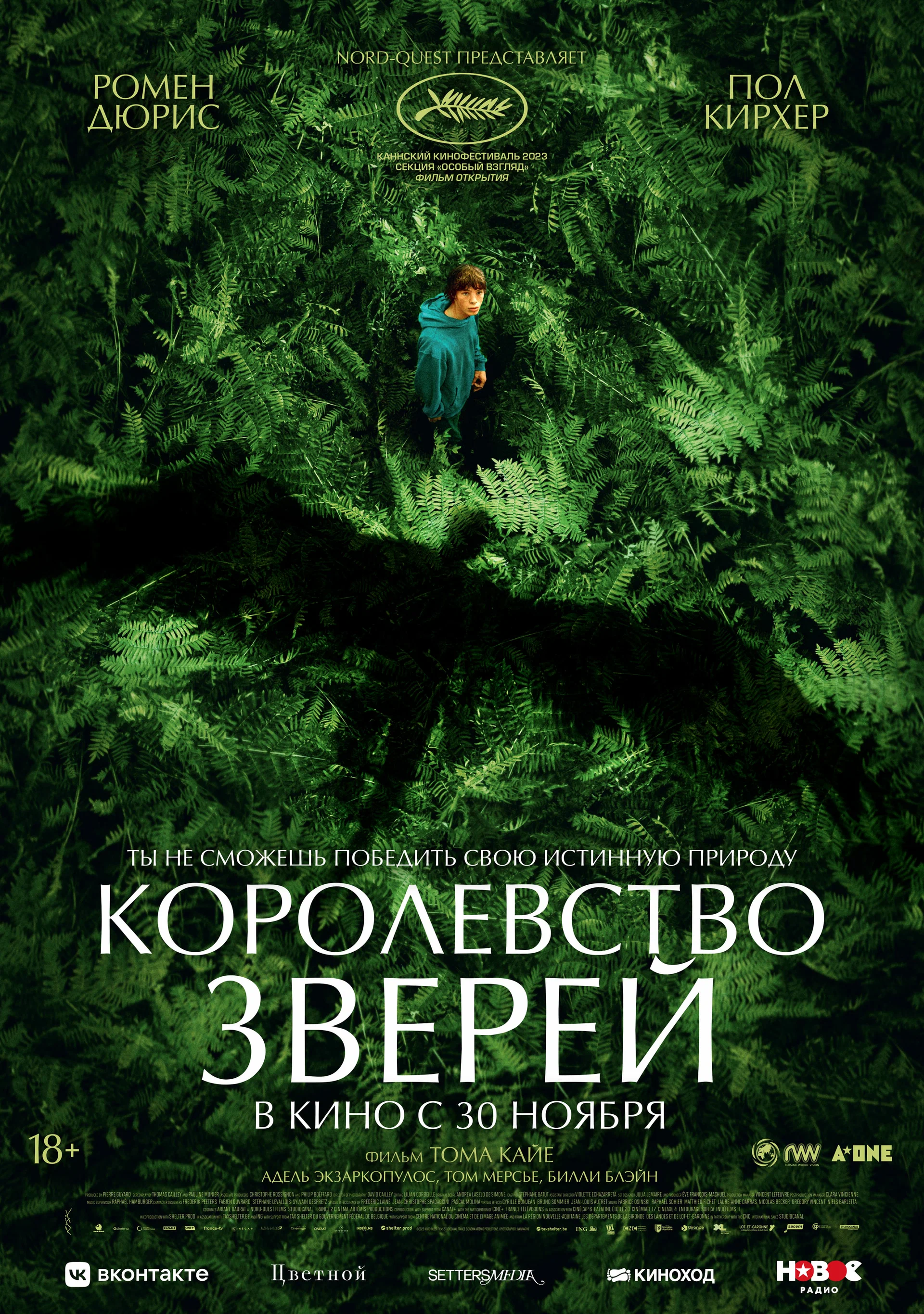 Королевство зверей / The Animal Kingdom (2023) отзывы. Рецензии. Новости кино. Актеры фильма Королевство зверей. Отзывы о фильме Королевство зверей