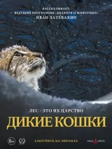 Превью постера #219402 к фильму "Дикие кошки" (2021)